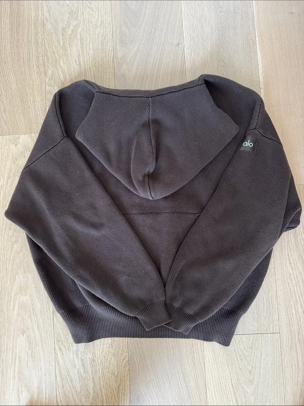 Alo Scholar hooded sweater